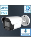 ICF23IR AltCam IP камера 2Мп с POE и микрофоном 